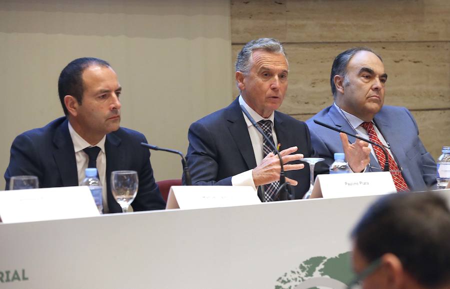 Expertos destacan que la producción de aceite de oliva se multiplica y el Puerto de Málaga será clave para su exportación