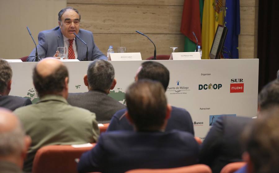 Expertos destacan que la producción de aceite de oliva se multiplica y el Puerto de Málaga será clave para su exportación