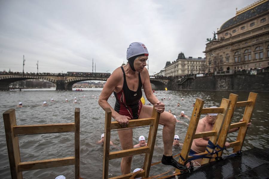 Varios bañistas desafiaron las gélidas temperaturas para participar en la 71 edición de la tradicional carrera Alfred Nikodem que se desarrolla en las frías aguas del río Moldava en su paso por Praga.