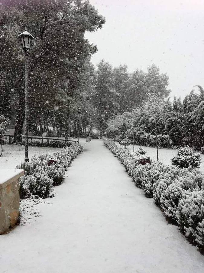 Ronda, Antequera y Alfarnate se cubren bajo un manto blanco