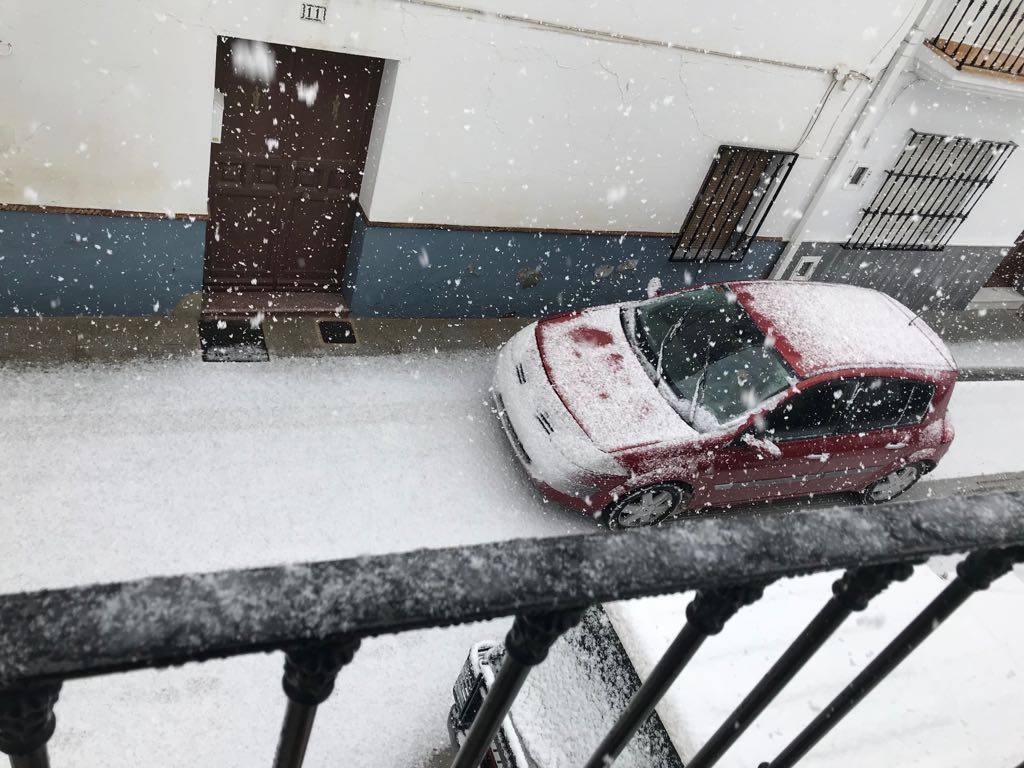 Ronda, Antequera y Alfarnate se cubren bajo un manto blanco