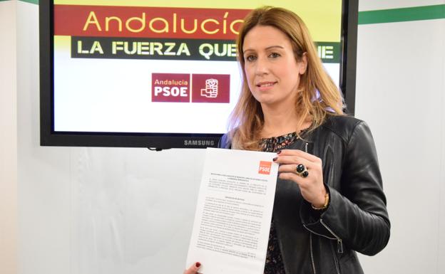 Piden que Málaga se declare libre de acciones contra la Memoria Democrática