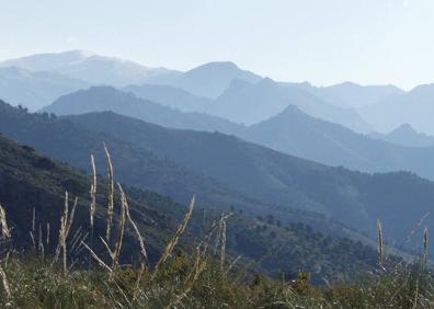 Imagen secundaria 1 - Ejemplares de cabra montés en los Tajos Lisos. | Relieves montañosos que se pueden ver en el ecuador de la ruta | El ascenso por la nieve hay que realizarlo con material adecuado