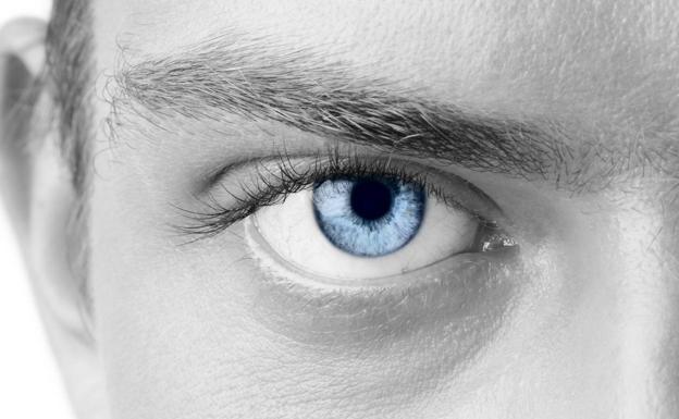 Todos los testigos apuntaron a sus ojos. 