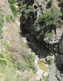 Imagen secundaria 2 - El camino de ida termina en esta poza del río Almachares. | La acequia marca prácticamente toda esta ruta | Vista de uno de los saltos de agua del río Almanchares 