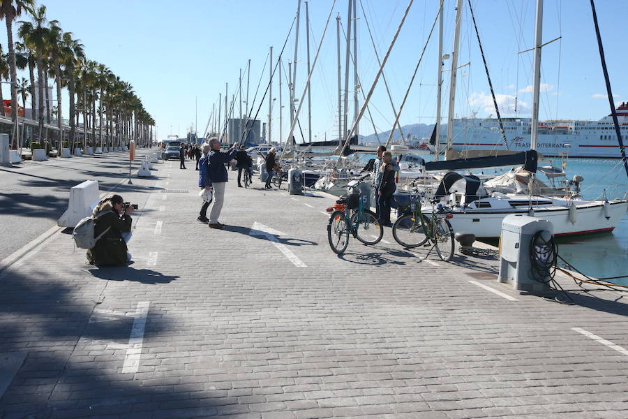 250 aficionados toman las calles de la ciudad para conseguir la mejor instantánea en la prueba organizada por SUR