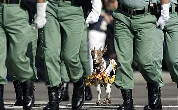 Los hechos ocurrieron en un bar de copas de Almería. 