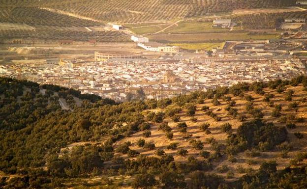 Vista general de Lucena, una localidad de la Subbética cordobesa rodeada por un denso olivar. 