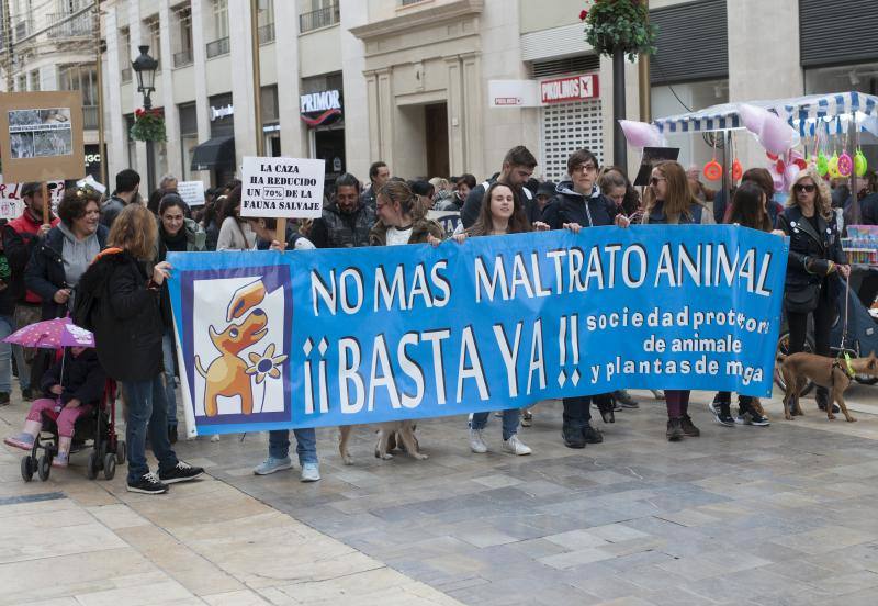 Secundan en la Plaza de la Marina la manifestación que se ha celebrado a la vez en 30 ciudades españolas