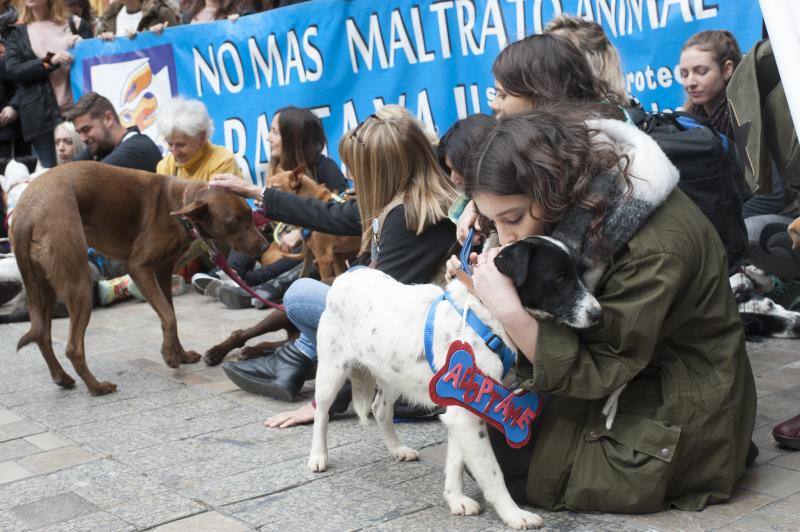 Secundan en la Plaza de la Marina la manifestación que se ha celebrado a la vez en 30 ciudades españolas