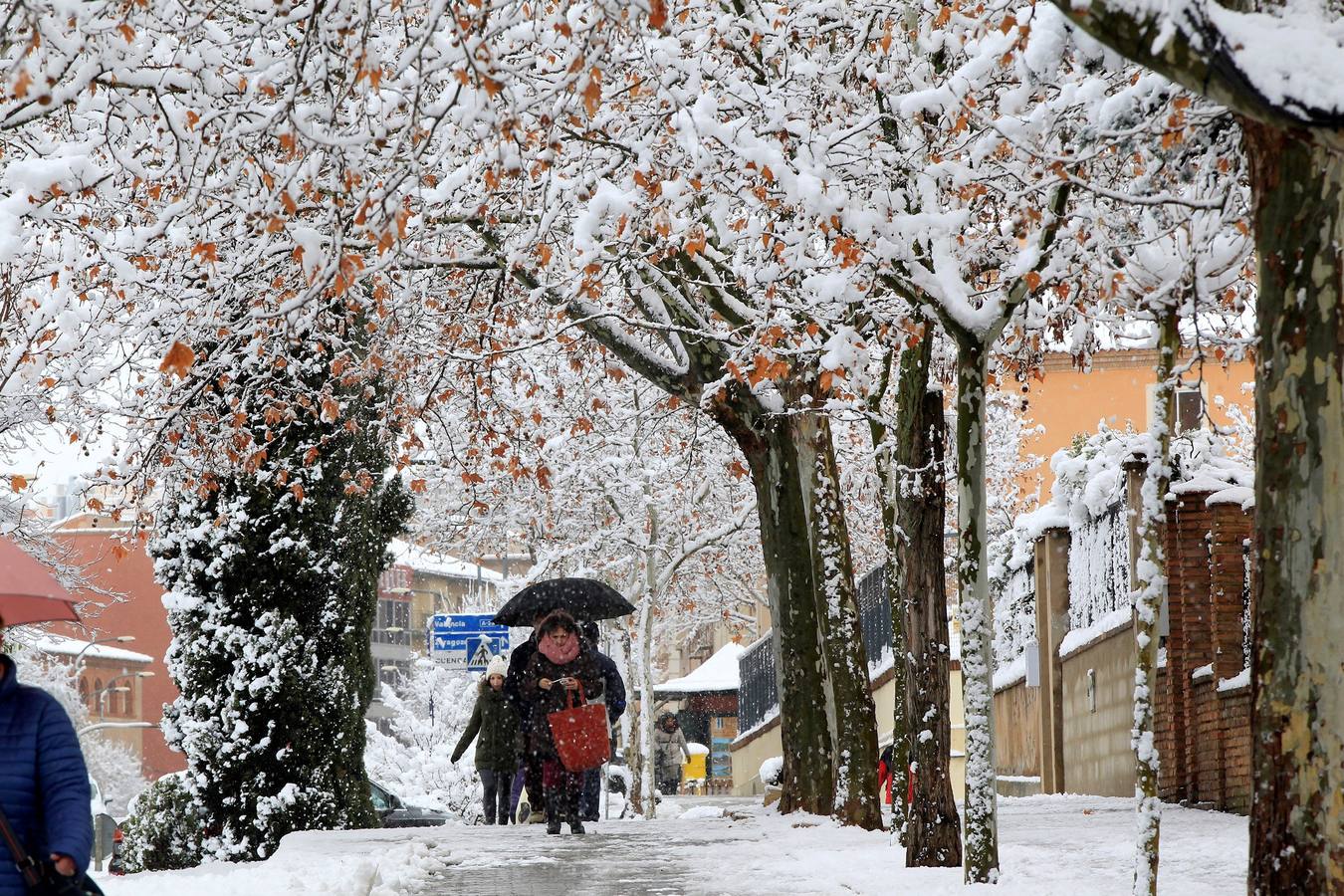 Gran parte del norte de España está cubierta por la nueve por el temporal que está azotando numerosas provincias. La nieve está siendo tan protagonista que numerosas carreteras están cortadas o seon necesarias las cadenas para transitar por ellas.