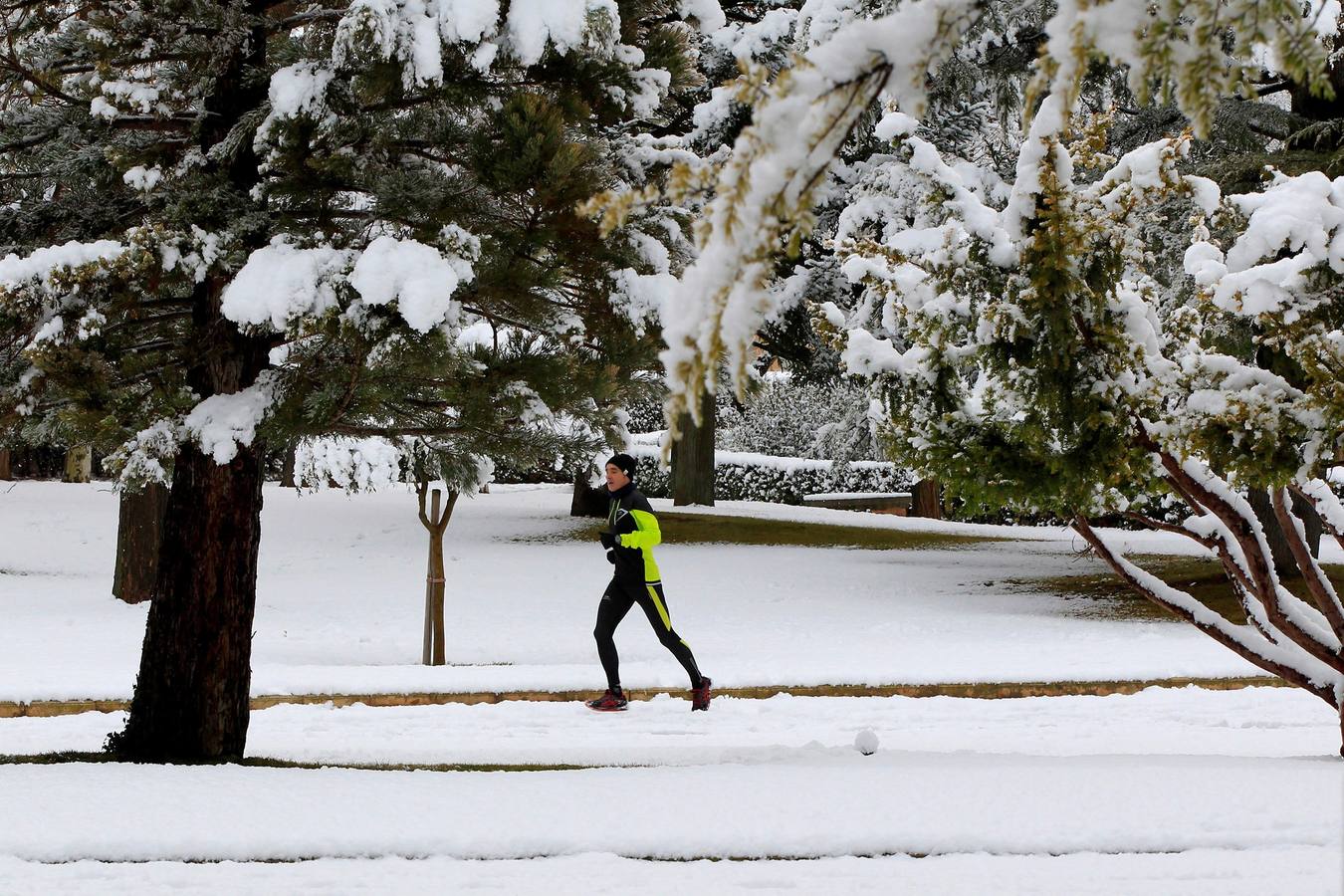 Gran parte del norte de España está cubierta por la nueve por el temporal que está azotando numerosas provincias. La nieve está siendo tan protagonista que numerosas carreteras están cortadas o seon necesarias las cadenas para transitar por ellas.