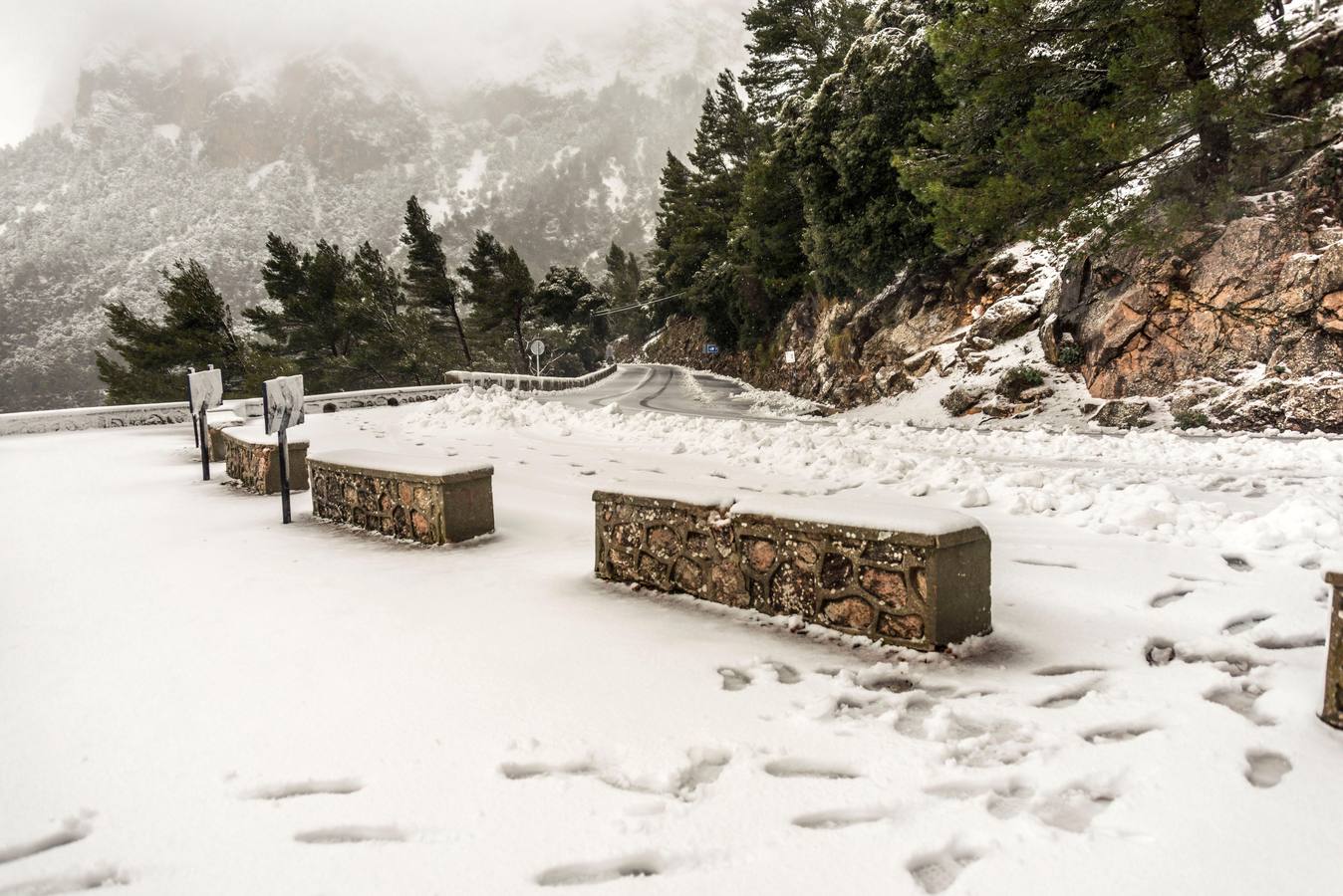 Gran parte del norte de España está cubierta por la nueve por el temporal que está azotando numerosas provincias. La nieve está siendo tan protagonista que numerosas carreteras están cortadas o seon necesarias las cadenas para transitar por ellas.