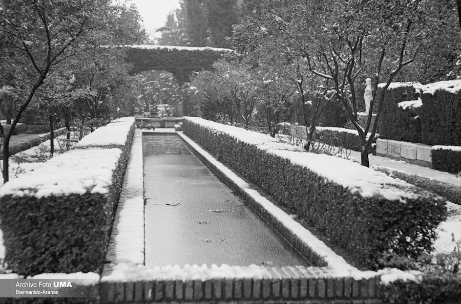 El 3 de febrero de 1954 es una fecha que ha quedado en el recuerdo de la capital. Aquel día se dieron las condiciones necesarias para que la nieve cuajara en Málaga y quedara una estampa que no se ha vuelto a repetir desde esa fecha.