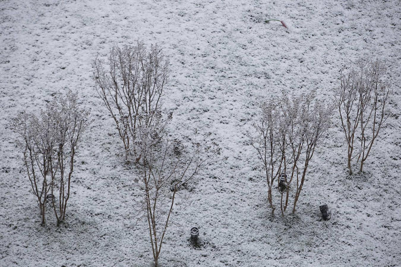 Durante toda la mañana no ha parado de nevar en Madrid capital, con temperaturas de 1º. 