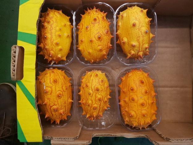 El kiwano o melón africano espinudo. 