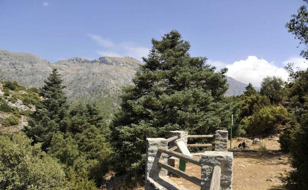 Un recorrido por la Sierra de las Nieves en fotos