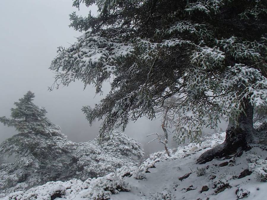 El Gobierno lo ha declarado Parque Nacional 