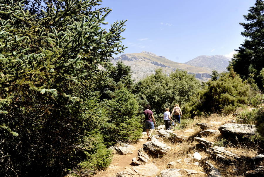 El Gobierno lo ha declarado Parque Nacional 