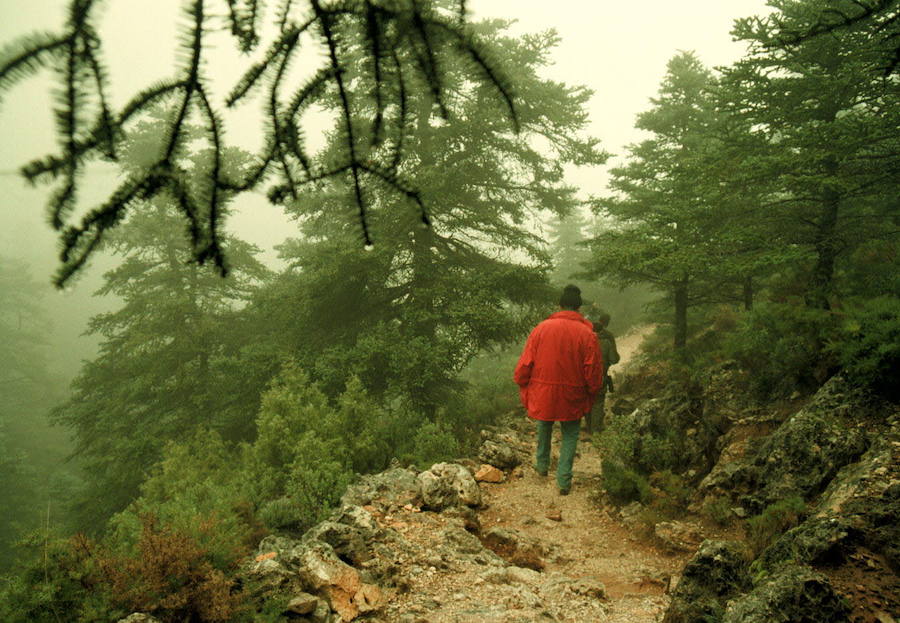 El Gobierno lo ha declarado Parque Nacional 