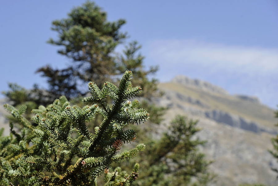 El Gobierno lo ha declarado Parque Nacional 