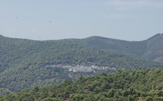 Imagen principal - Desde el camino se podrá ver en lontananza Pujerra | Vista de Los Riscos de Cartajima y Júzcar | Cartajima es el pueblo más alto de la Serranía de Ronda