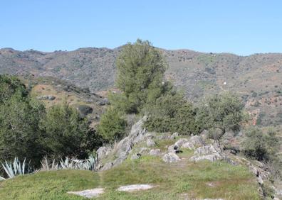 Imagen secundaria 1 - En los puntos más elevados del recorrido se ven pueblos del entorno | Aunque predominan los olivos y los almendros, también hay arboleda forestal | Baliza que confirma el camino