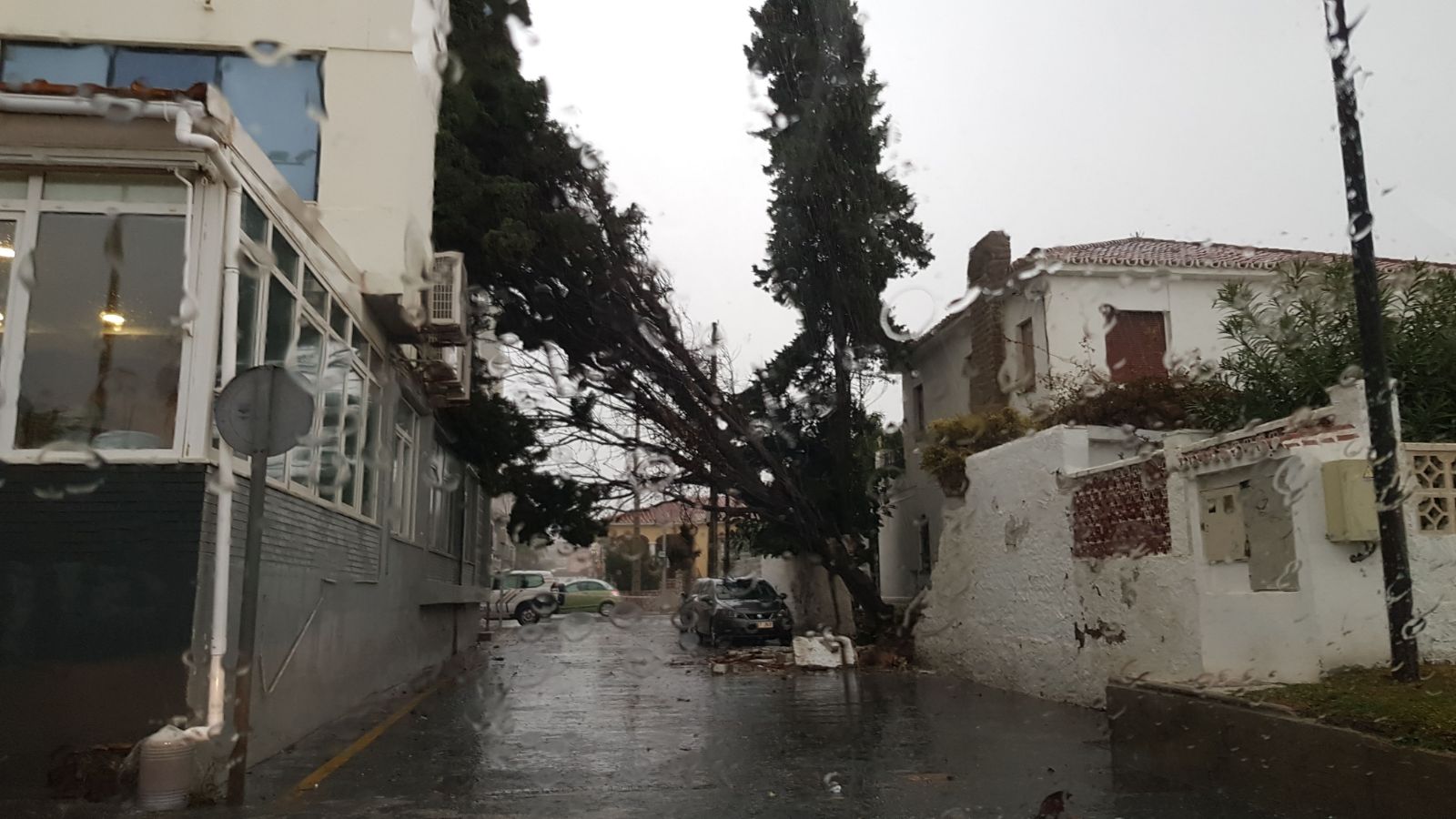 Un árbol se ha caído junto al hotel Rinconsol en Rincón de la Victoria, afectándose un muro de una casa.