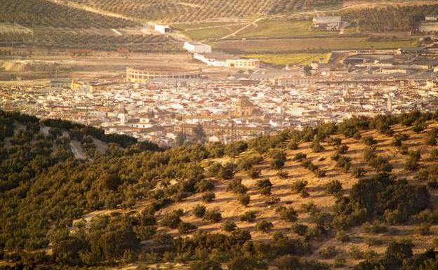 Vista general de Lucena, una localidad de la Subbética cordobesa rodeada por un denso olivar.