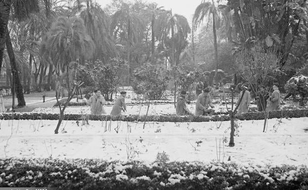 Galería. Imágenes de la nieve en Málaga capital en febrero de 1954.