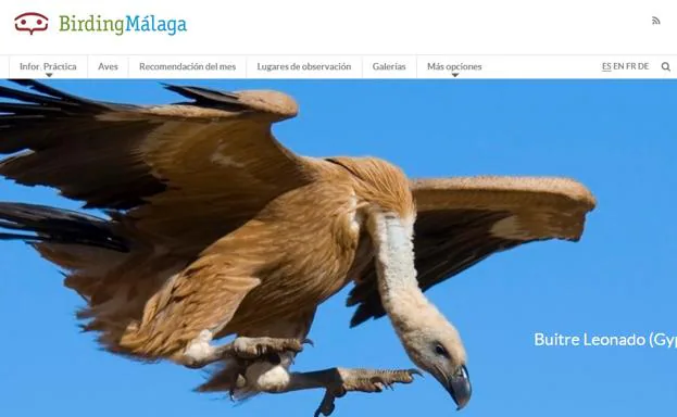 Crean una web de turismo ornitológico de Málaga con más de 159 puntos de interés
