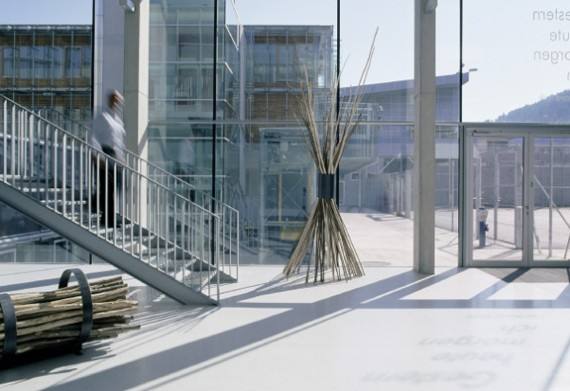 Leoben Justice Center (Austria). Una de las cárceles más hermosas del planeta, el diseño, más parecido a un conglomerado de oficinas que a una prisión, fue obra del arquitecto Joseph Hohensinn. Cada habitación cuenta con baño y cocina privados, ventanas (irrompibles) de suelo a techo, escritorio y estanterías. Dispone de un enorme gimnasio, mesas de ping-pong, basket y habitaciones conyugales por si hay que atender a las visitas.