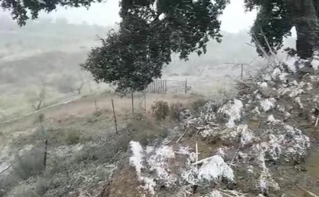 Así ha sido la nevada en Canillas de Albaida. 