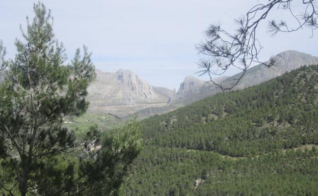 Parte de la ladera sur de Sierra Tejeda vista desde El Alcázar.