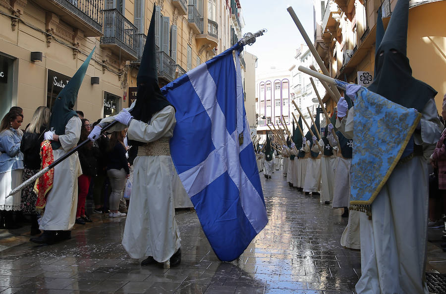 Semana Santa de Málaga | Fotos Pollinica. Domingo de Ramos 2018