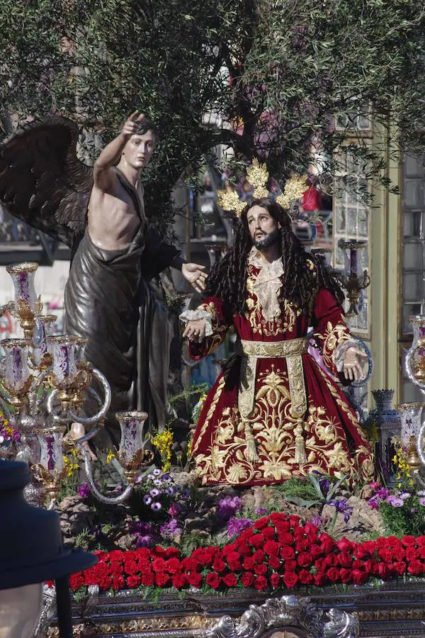 Semana Santa de Málaga | Fotos de la Archicofradía del Huerto. Domingo de Ramos 2018
