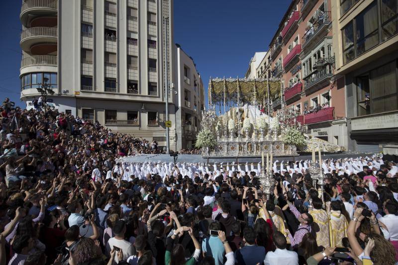 Real, Ilustre y Venerable Hermandad Sacramental de Nuestro Padre Jesús Nazareno de Los Pasos en El Monte Calvario y María Santísima del Rocío Coronada