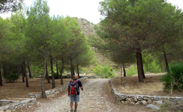 Senderista a la altura del área recreativa de El Pinarillo