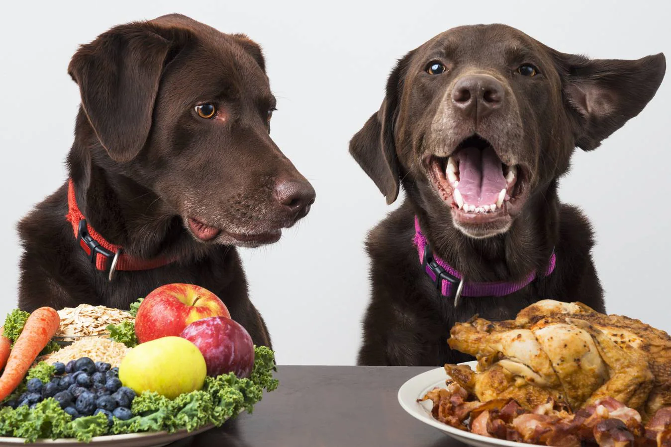 Dos perros, junto a platos de comida, fruta y vegetales.