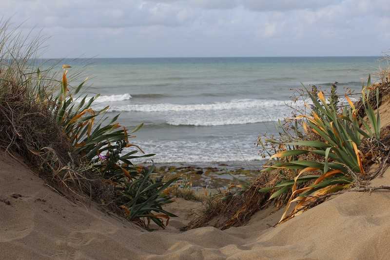 Dunas de Artola. En estos días, las agradables temperaturas también invitan a pasearse por la costa mediterránea malagueña. Para ello ya están habilitados algunos tramos de la Senda Litoral de Málaga, como es el que se puede recorrer por La Cala de Mijas. En otros, aguardan monumentos naturales como las Dunas de Artola, junto a la playa marbellí de Cabopino. Aquí se ha habilitado también una breve, pero interesante ruta de senderismo.