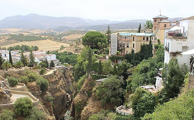 Rincón, Ronda y Alhaurín de la Torre, los otros municipios que bonifican sin condiciones