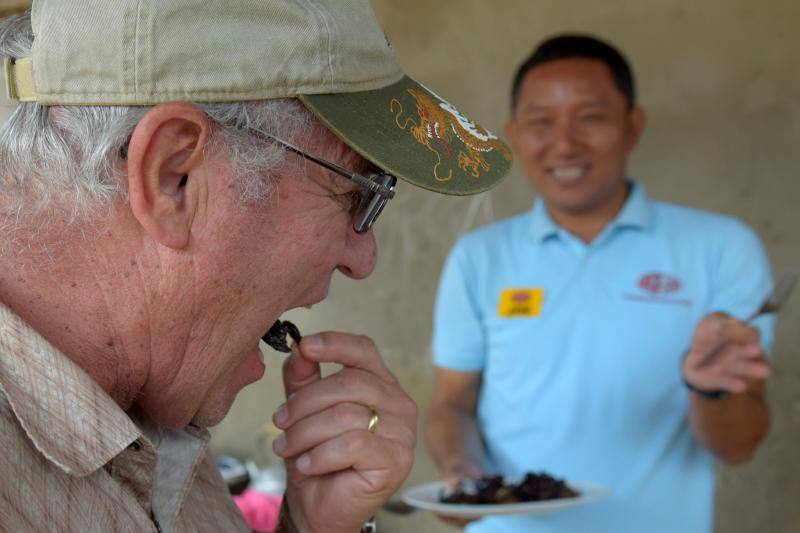 Un plato lleno de estos peludos animales del tamaño de un puño resulta en Camboya un preciado manjar, pero se encuetran en peligro de extinción