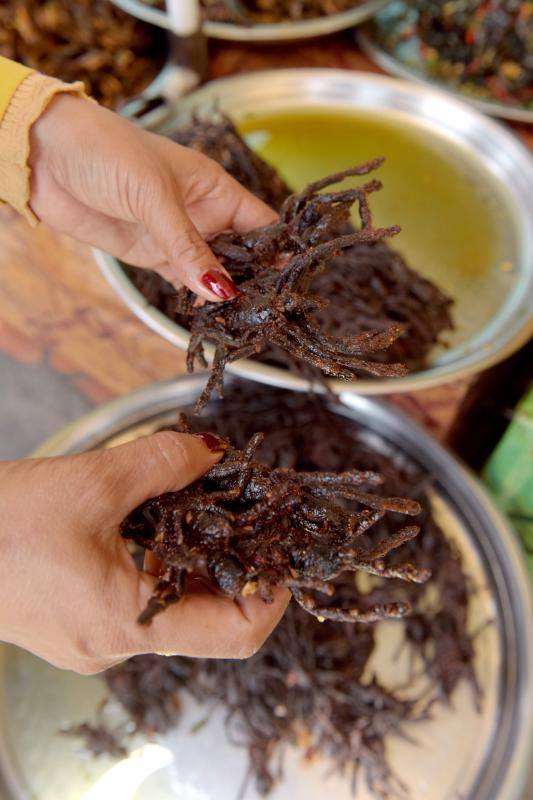 Un plato lleno de estos peludos animales del tamaño de un puño resulta en Camboya un preciado manjar, pero se encuetran en peligro de extinción