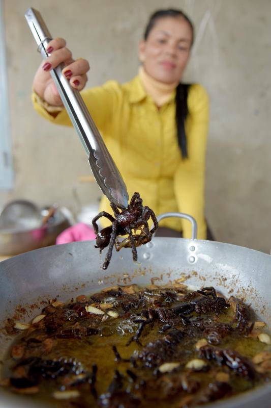 Un plato lleno de estos peludos animales del tamaño de un puño resulta en Camboya un preciado manjar, pero se encuetran en peligro de extinción