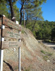 Imagen secundaria 2 - El palmito acompaña al pinar en esta zona de la sierra de Aguas | Muchas partes del camino son umbrías gracia a la abundante arboleda | Desde la carretera parten muchos caminos que se adentran en la sierra