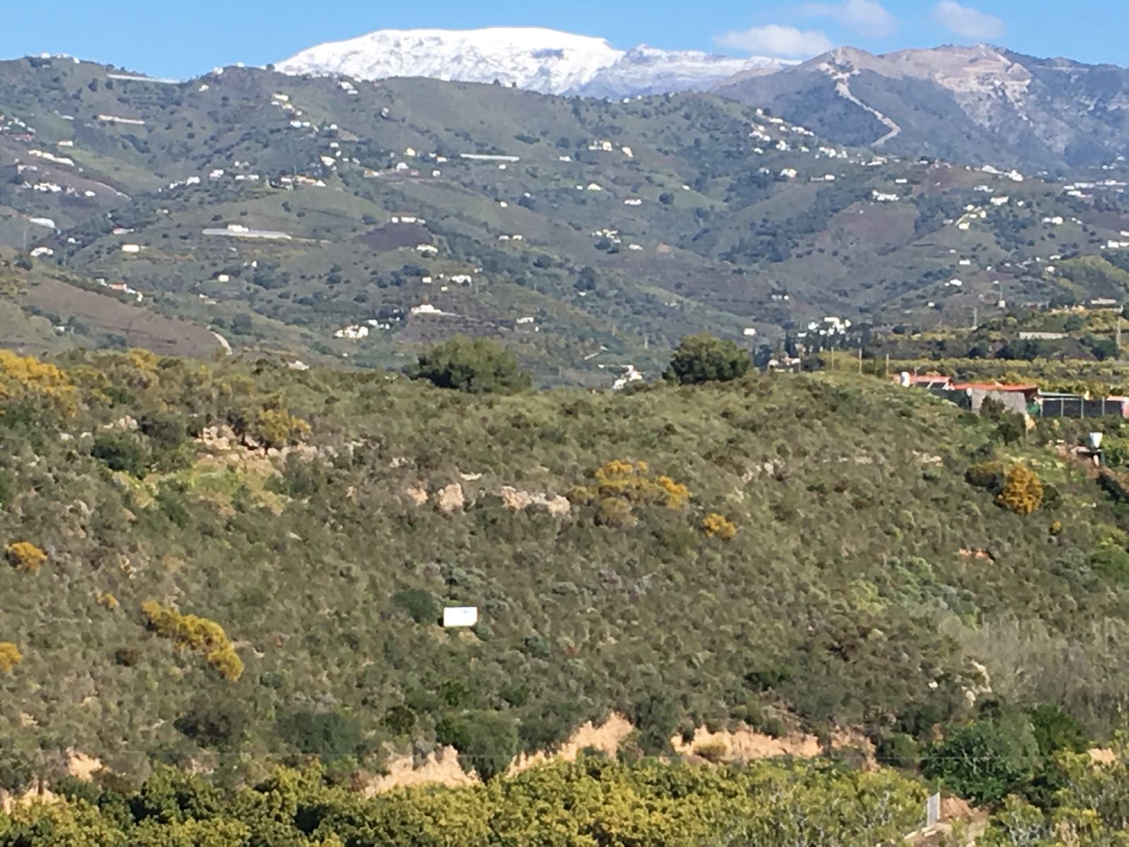 Cumbres nevadas en la Axarquía