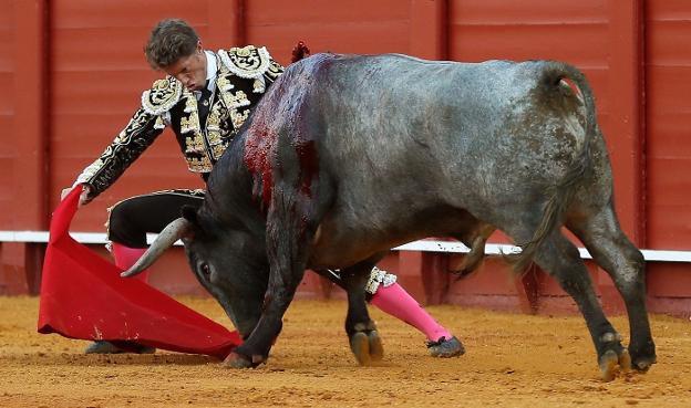 El diestro Manuel Escribano en su faena la muleta al segundo de su lote. :: efe