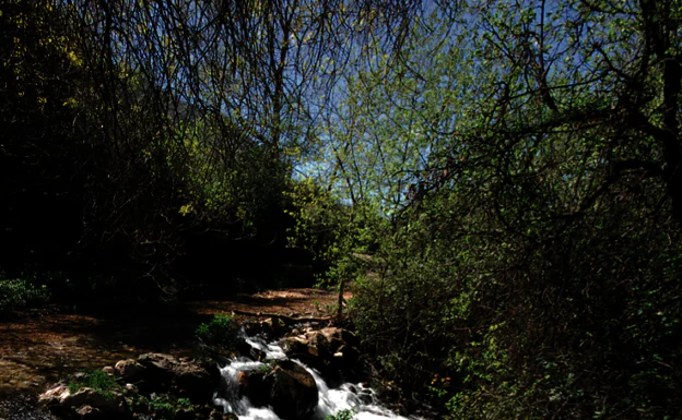 El Nacimiento, también conocido como El Chorro, es el origen del río Cerezo, un afluente del Guadalhorce