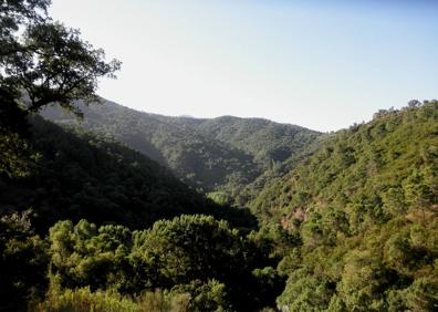 Imagen secundaria 1 - Área recreativa del Bailadero. Foto: Diputación de Málaga | Vista general del Bajo Genal | Puente de San Juan, entre Jubrique y Algatocín