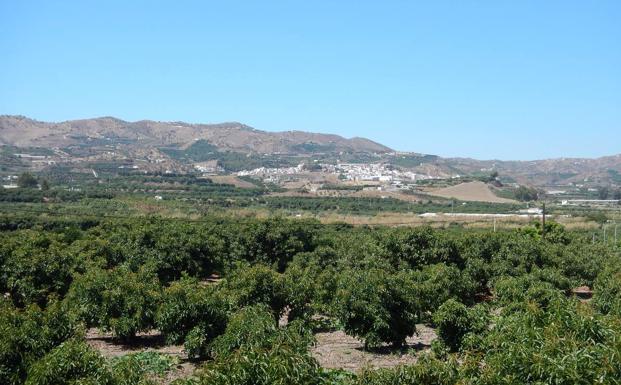 Valle del río Vélez con Benamargosa al fondo.